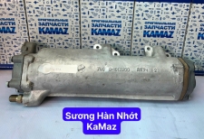 Sương hàn nhớt Kamaz